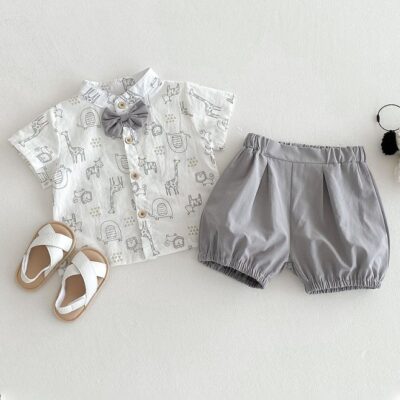 2 Piece Comortable Clothing Set for Toddler Boys, Adorable Shirt and Shorts Set, Stylish Summer