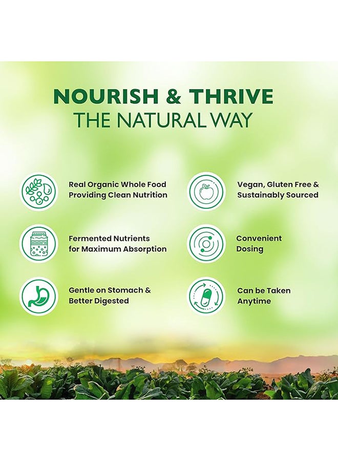 Once A Day Formula For Digestive Balance Colon And Immune Health With 50 Billion Cfu And 16 Probiotic Strains - Image 4