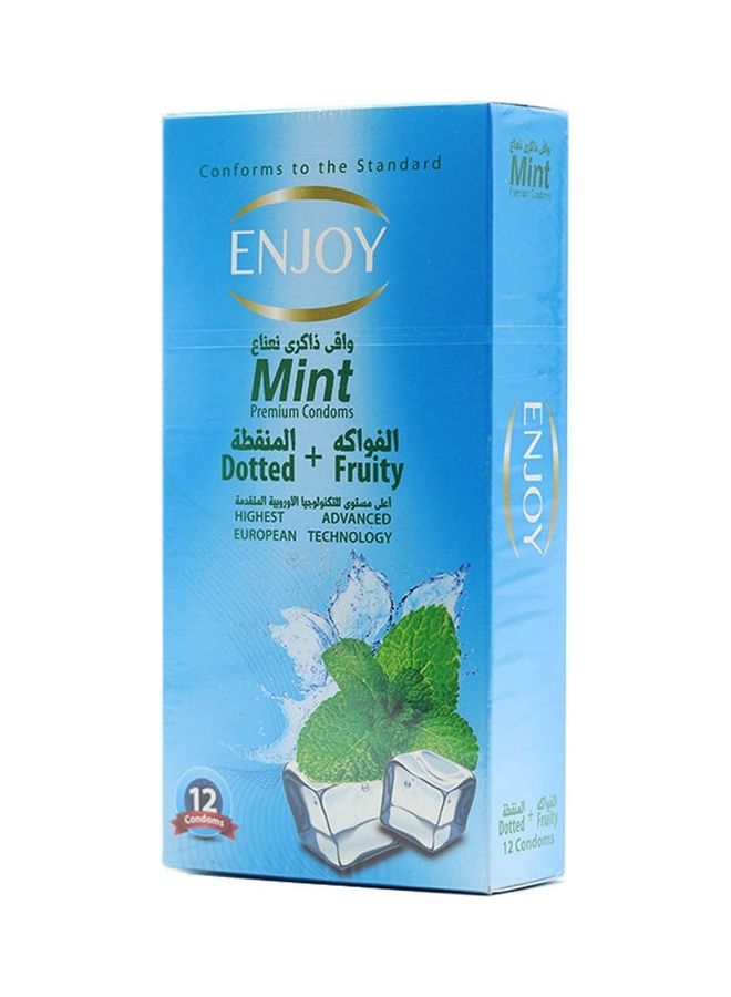 Pack Of 2 -12 Piece Mint Premium Condoms - Image 2