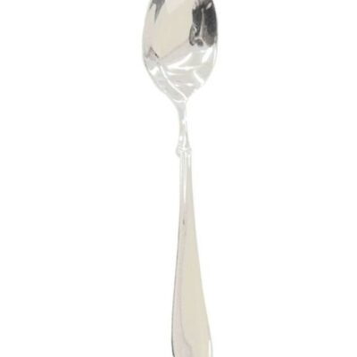 Stainless Steel Table Spoon Silver 24x11.7x15.1cm