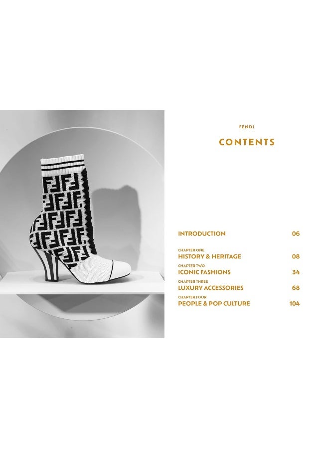 The Pocket Fendi - Image 3